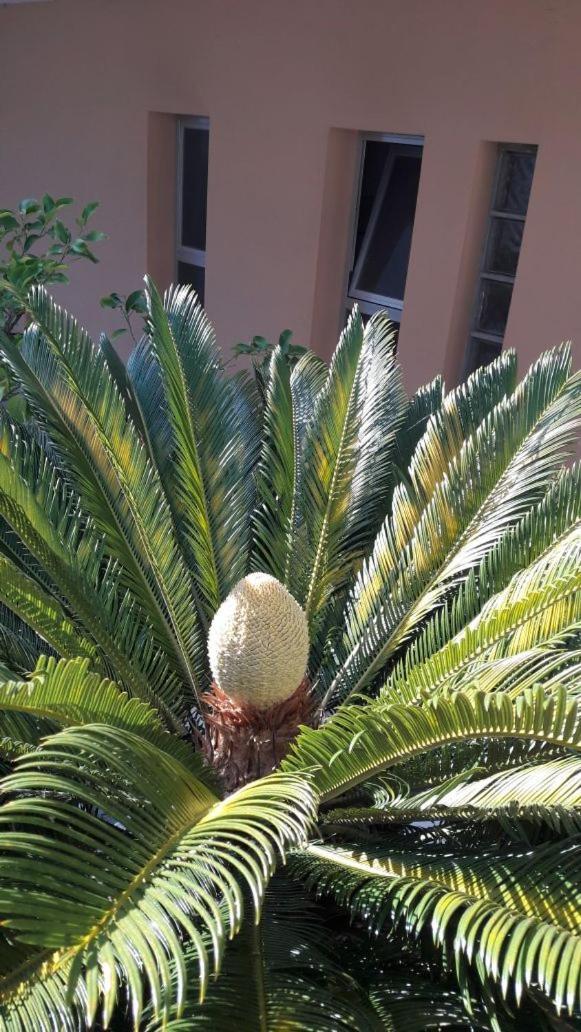 Albergo Larenzia Cattolica Bagian luar foto